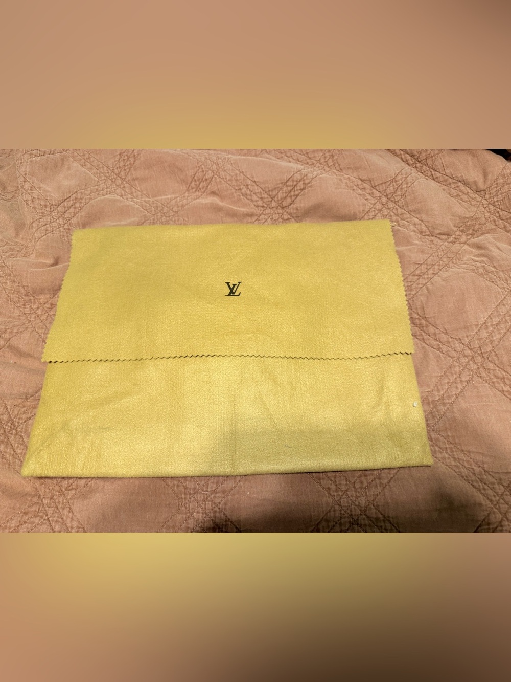 Louis Vuitton Large Felt Dust Bag ✨ Thick LV Storage Envelope w/ Tag